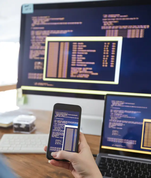 Valuación de Software en México